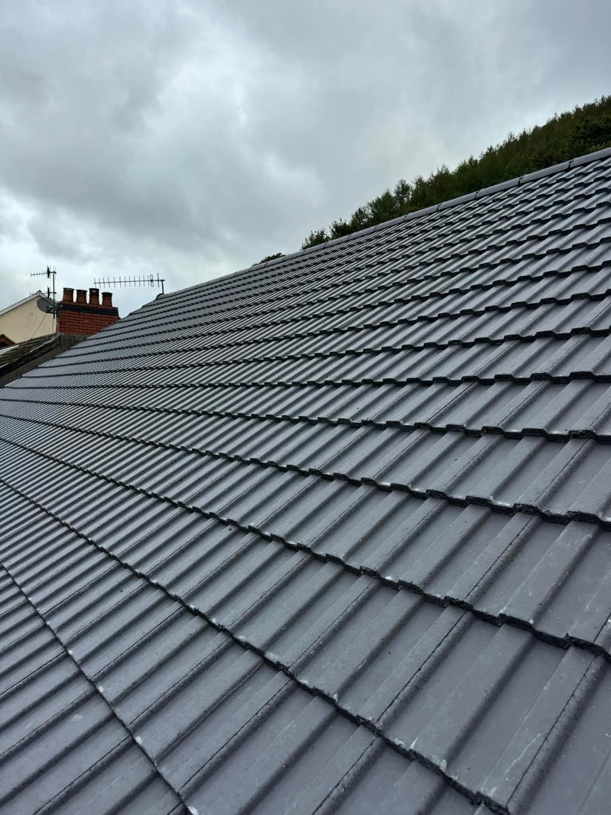 New Roofs